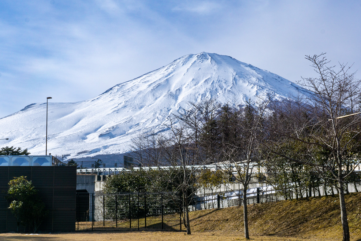 小山町「すばしり」