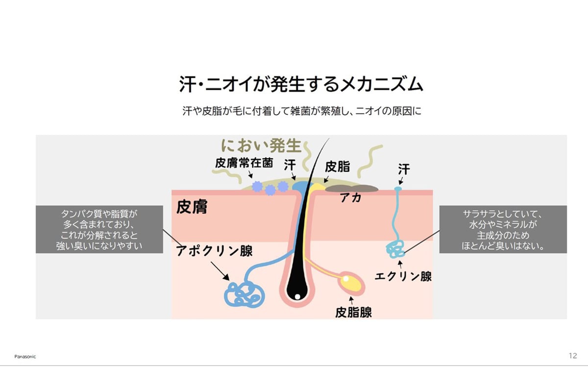 汗やニオイが発生するメカニズム。体毛があることで汗や湿気、熱がこもりやすくなり、ムレやニオイにつながりやすいことが説明された