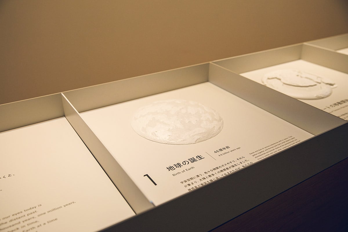 旅の視点を整える展示