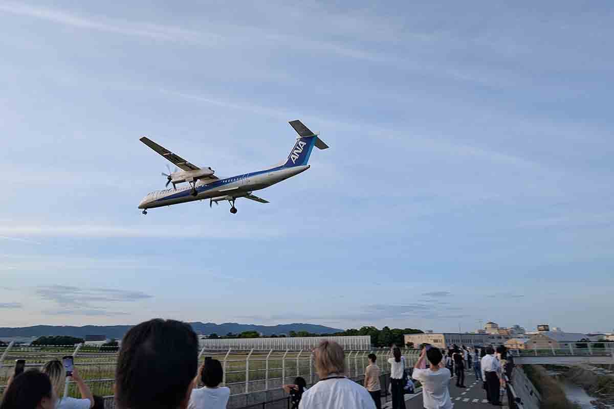 千里川土手の様子