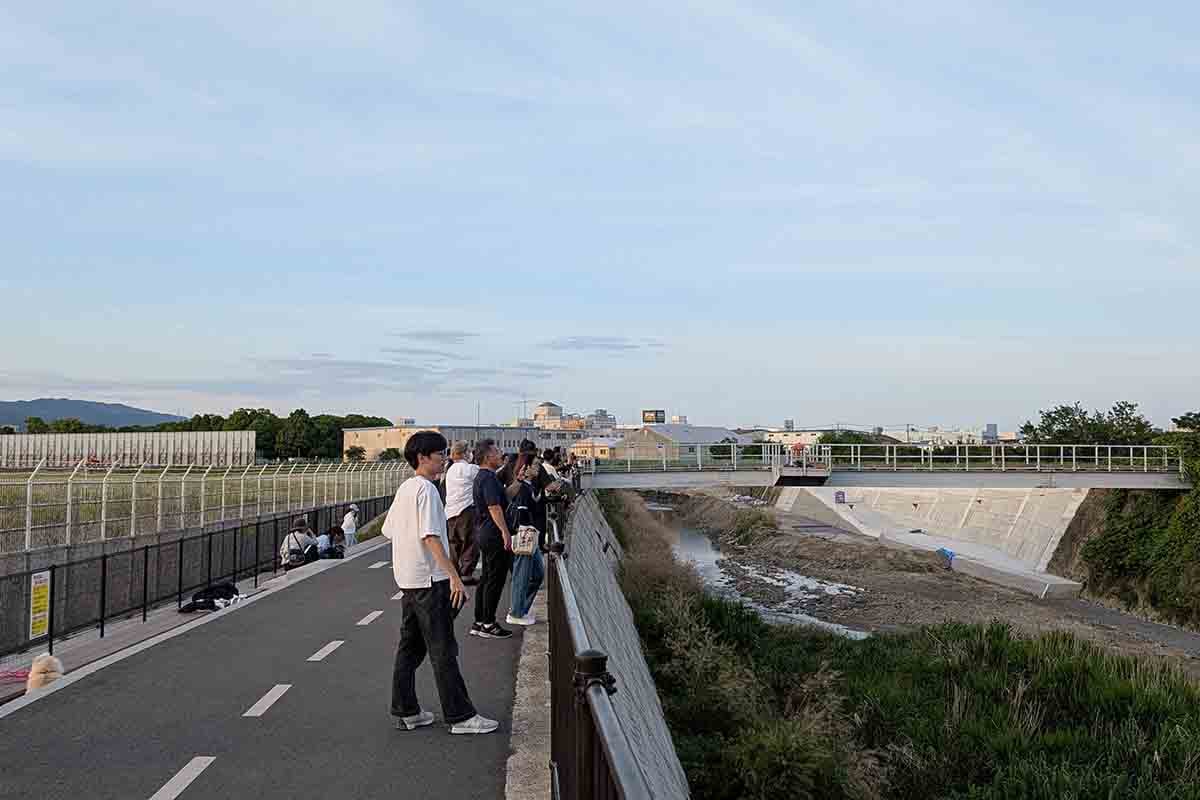 千里川土手の様子
