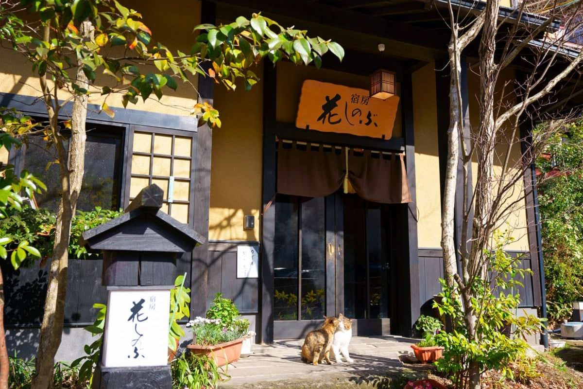 3位：宿房　花しのぶ（大分県）