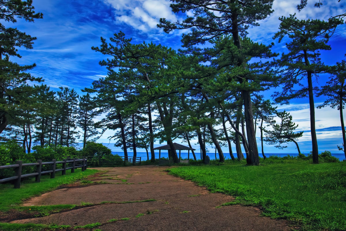 石川県「尼御前SA（下り）」