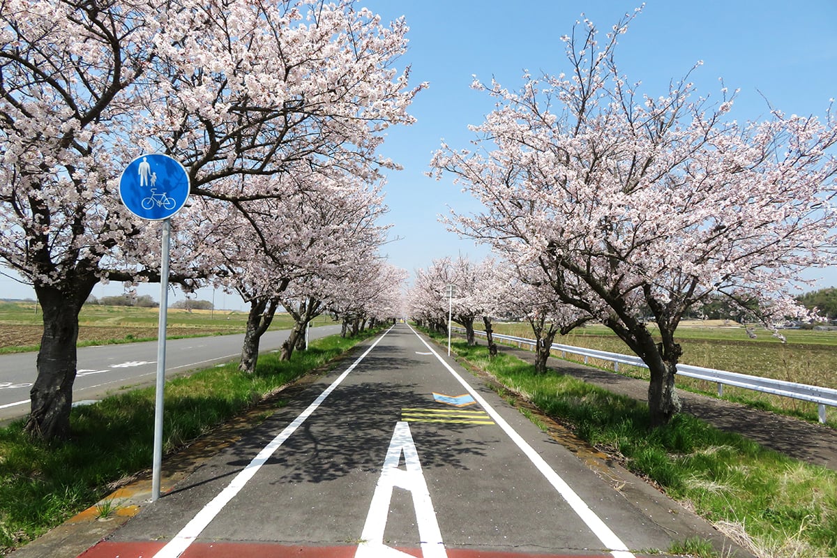 茨城県「つくば霞ヶ浦りんりんロード