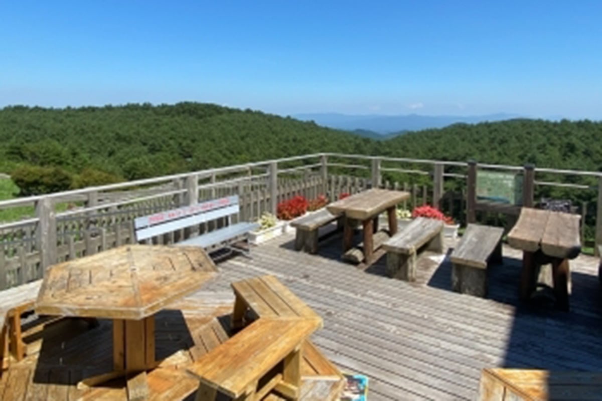 福島県「つちゆ」