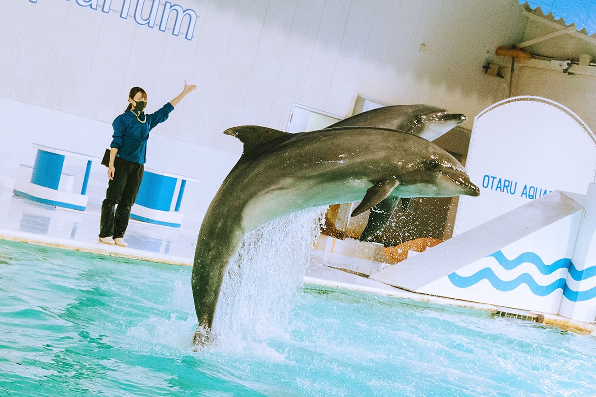 おたる水族館