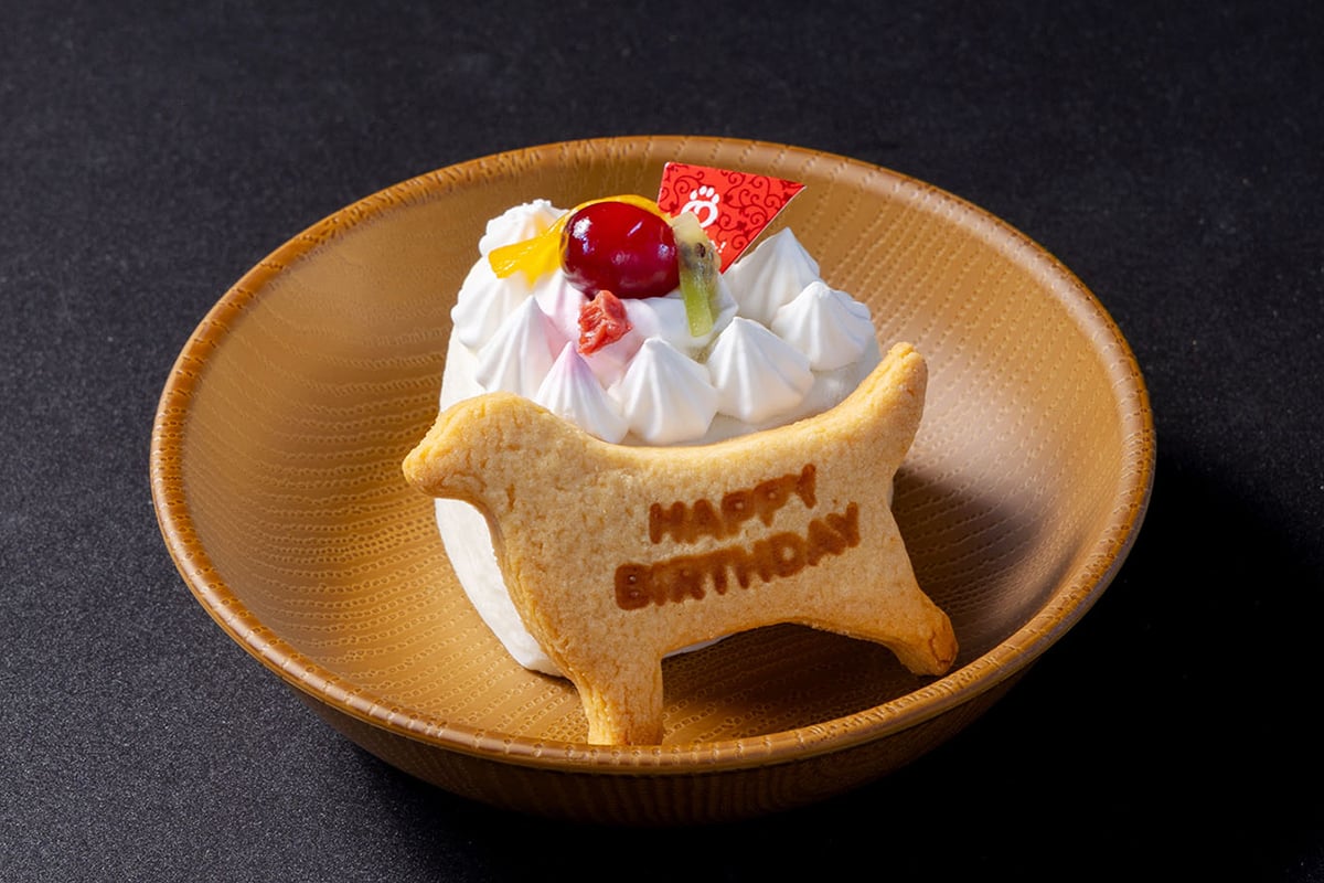 記念日旅行におすすめの愛犬用アニバーサリーケーキ