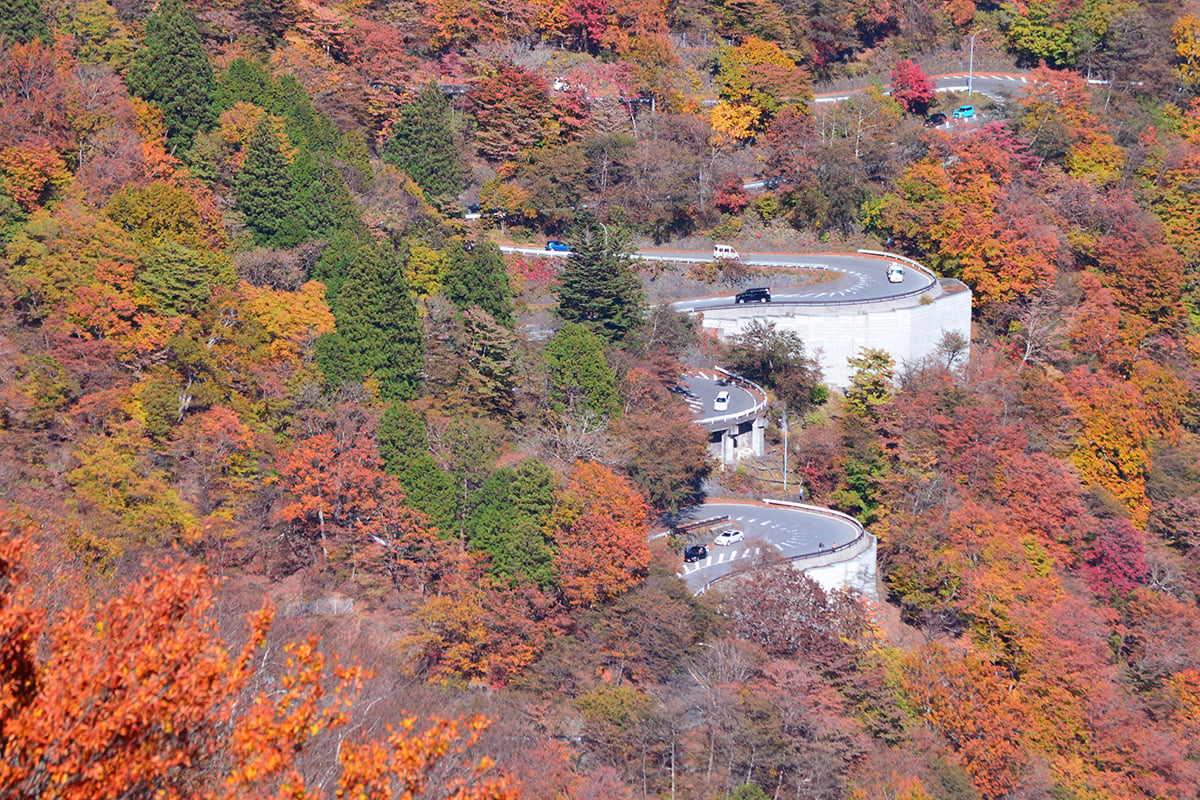 栃木県「いろは坂」