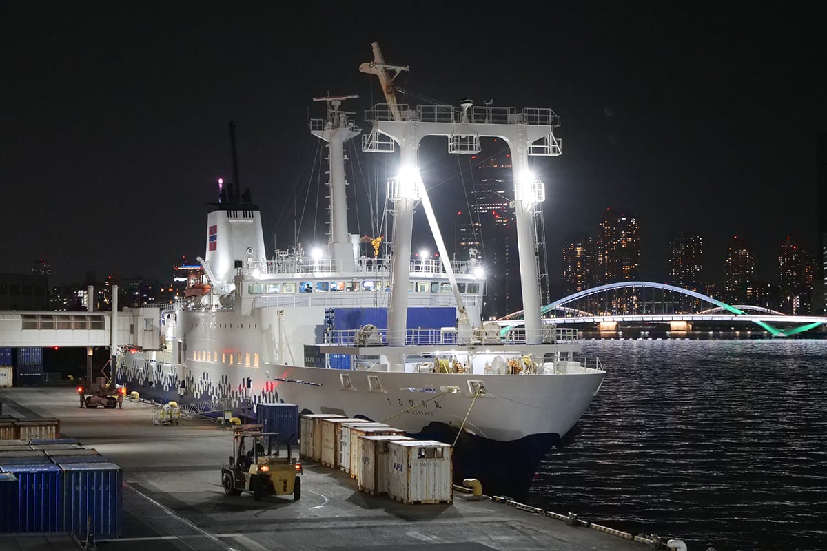 大型客船「さるびあ丸」