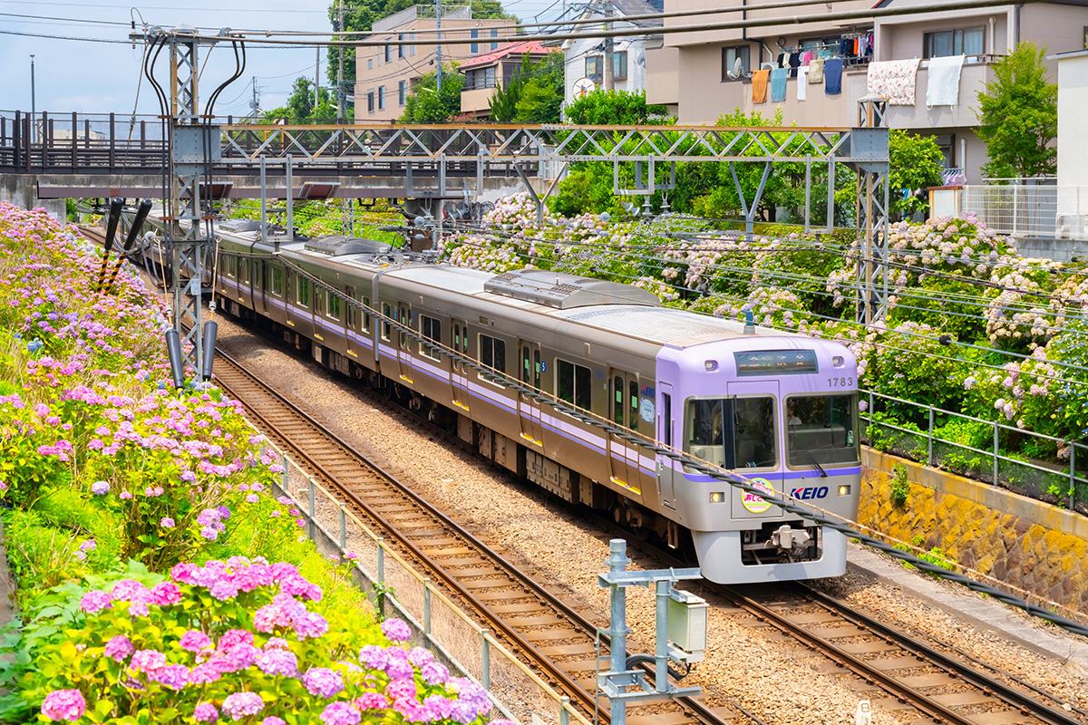 「バラスト」は鉄道の軌道を構成する極めて重要な要素のひとつ