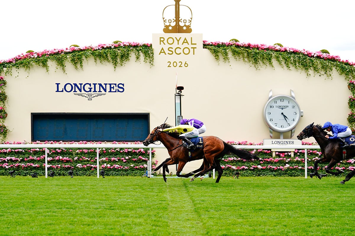 今回の新作は、ロンジンが公式パートナーを務めた馬術イベント「ロイヤルアスコット」でもお披露目された。