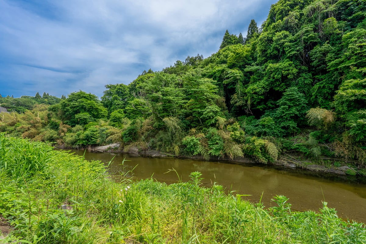 養老川