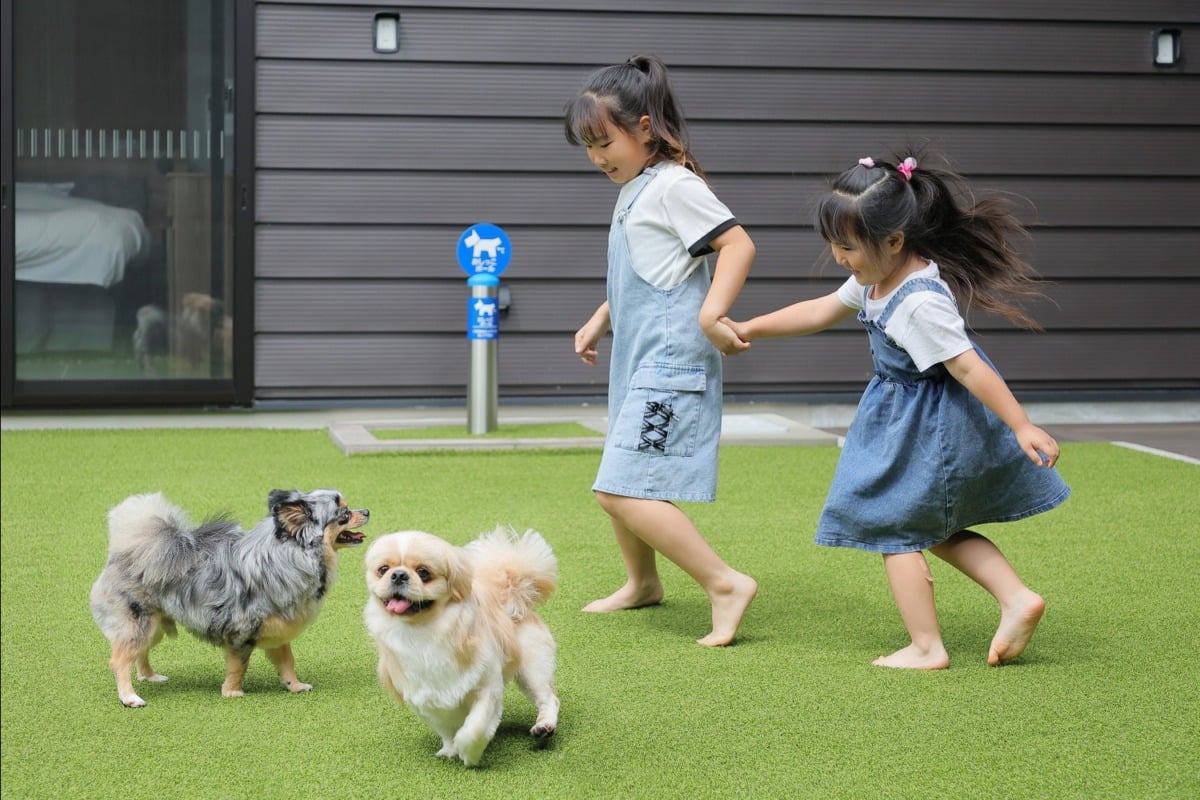 中庭に人工芝を敷き詰めた広いプレイエリア