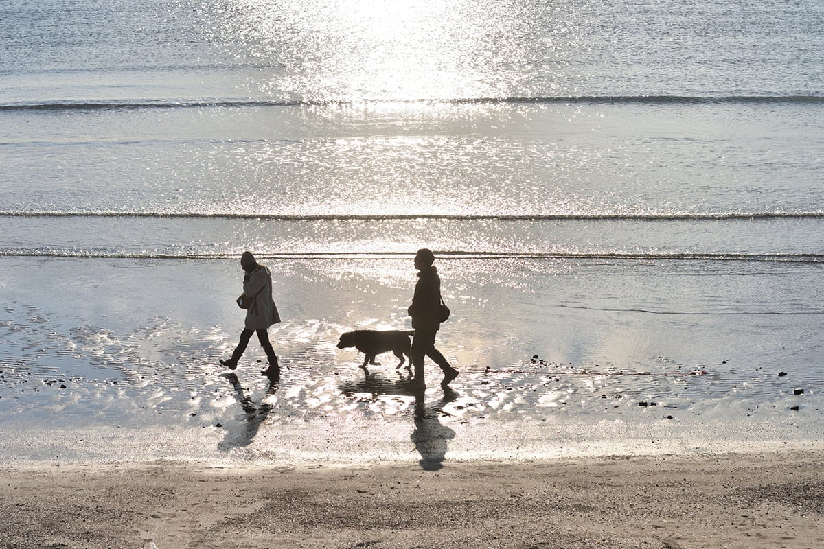 愛犬と一緒に波音と潮風を感じながら楽しむ、御宿海岸での散歩時間