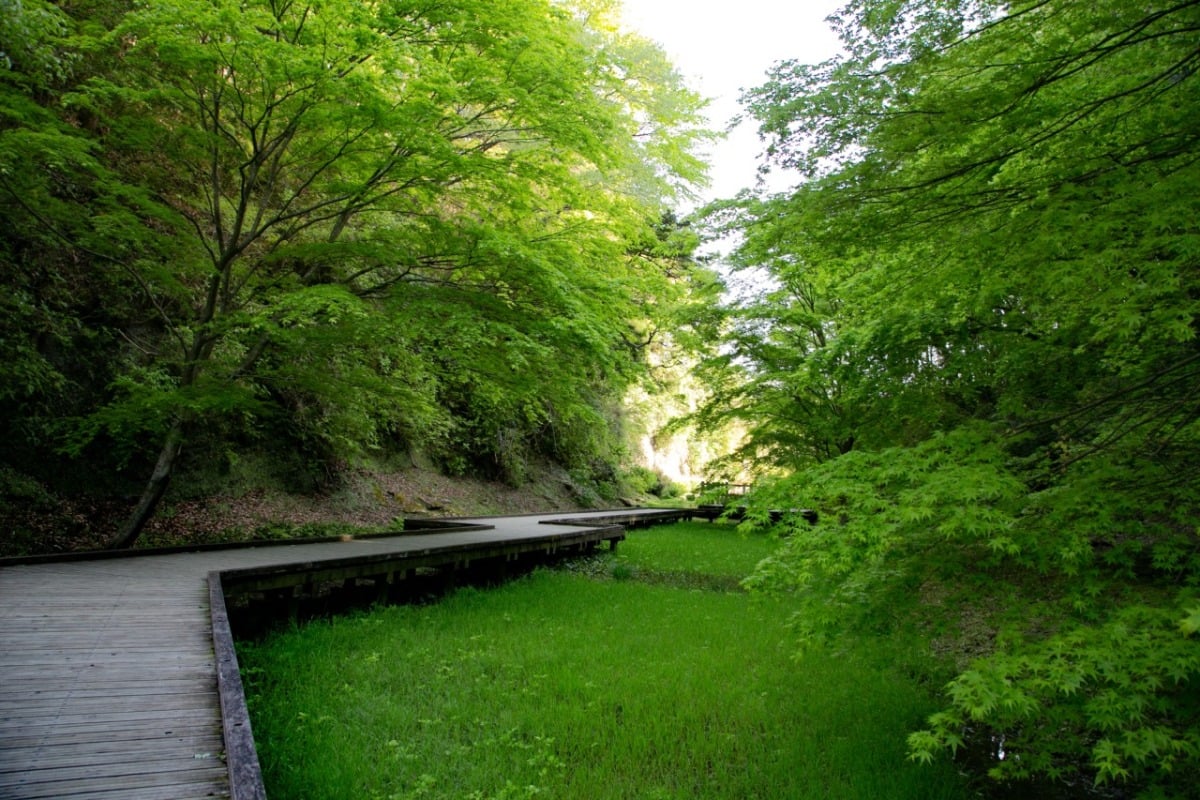 千葉県「清水渓流広場」