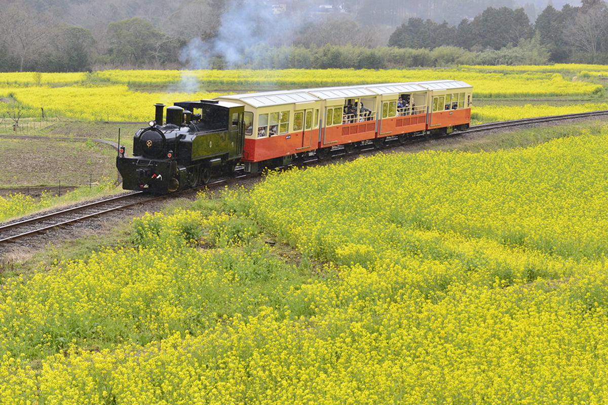小湊鐵道「房総里山トロッコ」