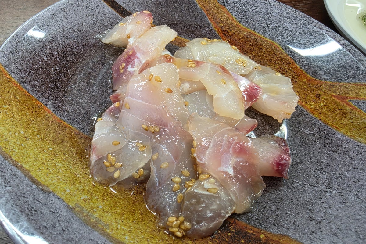 取材時に試食したコショウダイの塩胡麻。白身には弾力があり、ごま油の香りが広がる。未利用魚だから選ぶのではなく、まず「おいしい」と感じられることを重視する姿勢が、ひと口から伝わってきた