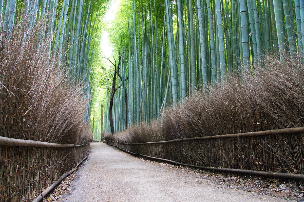 京都府「嵐山温泉」
