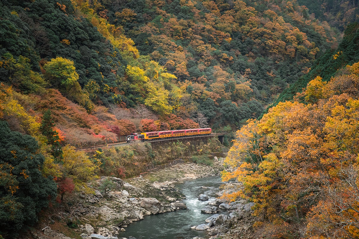嵯峨野観光鉄道「嵯峨野トロッコ列車」