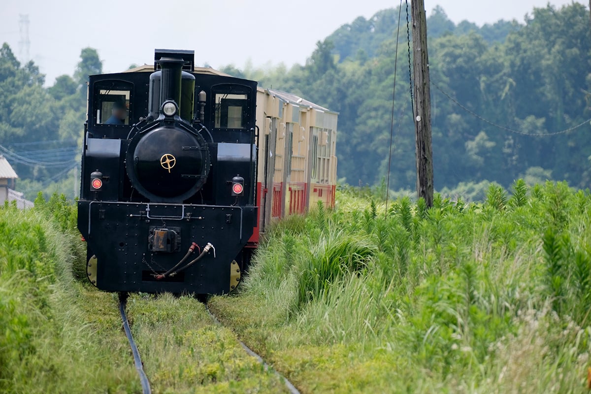 小湊鐵道「房総里山トロッコ」