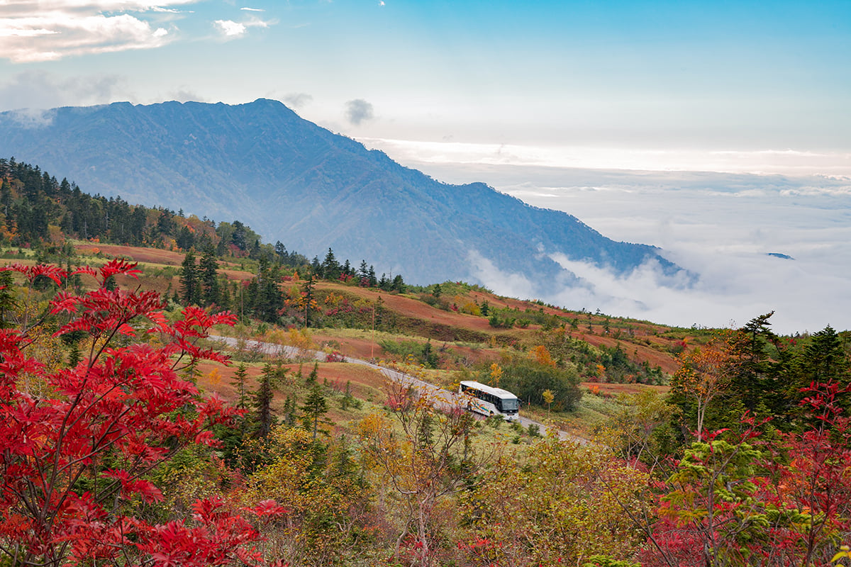 立山黒部アルペンルートの紅葉シーズンをお得に楽しめる「秋旅早割WEBきっぷ」が販売中