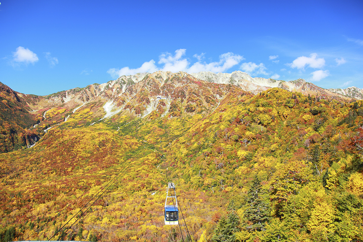 立山黒部アルペンルートの紅葉シーズンをお得に楽しめる「秋旅早割WEBきっぷ」が販売中