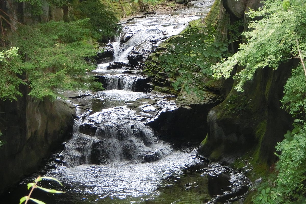 千葉県「清水渓流広場」
