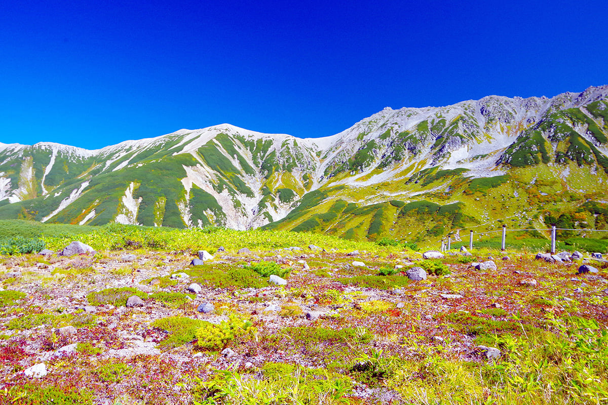 立山黒部アルペンルートの紅葉シーズンをお得に楽しめる「秋旅早割WEBきっぷ」が販売中