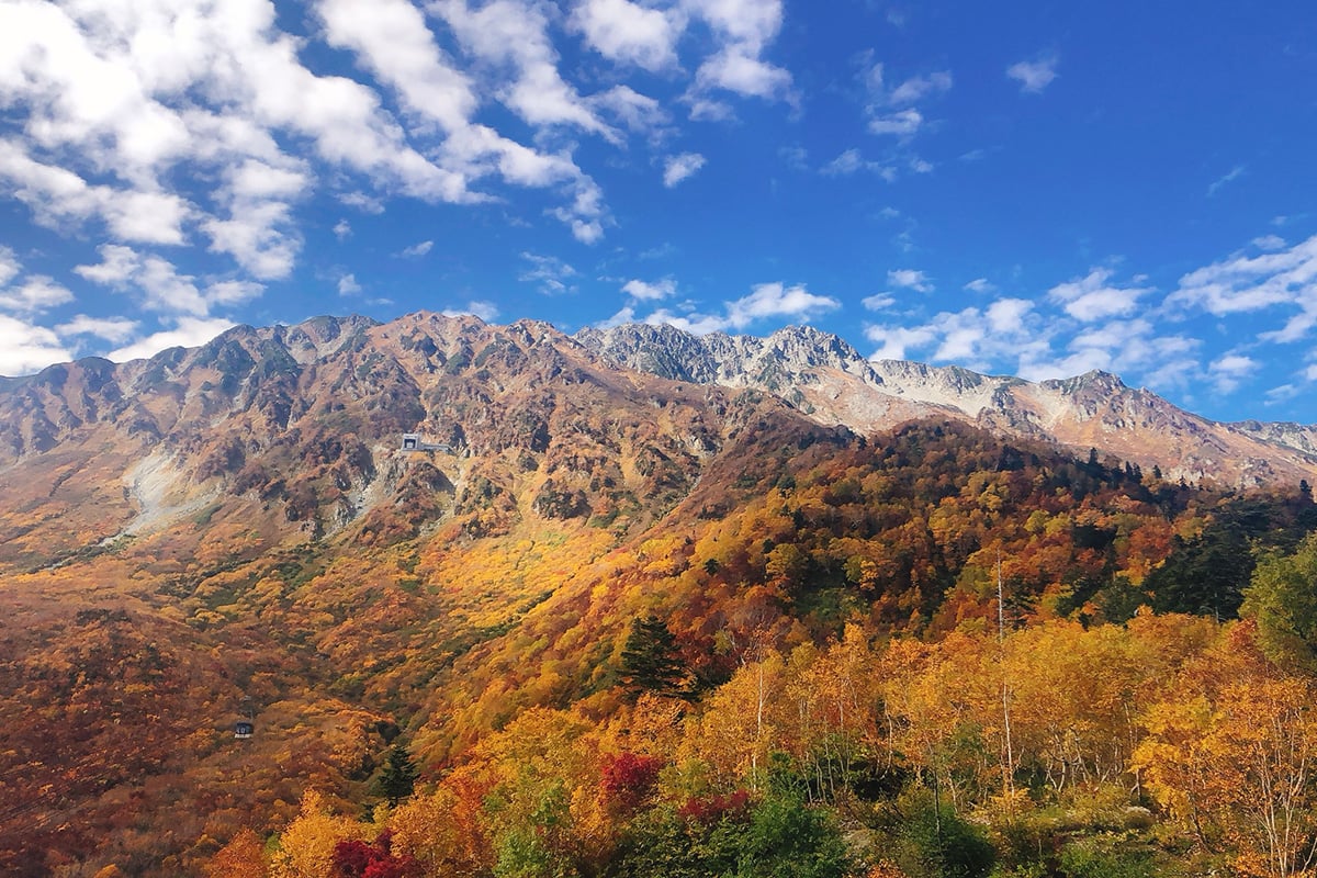 立山黒部アルペンルートの紅葉シーズンをお得に楽しめる「秋旅早割WEBきっぷ」が販売中