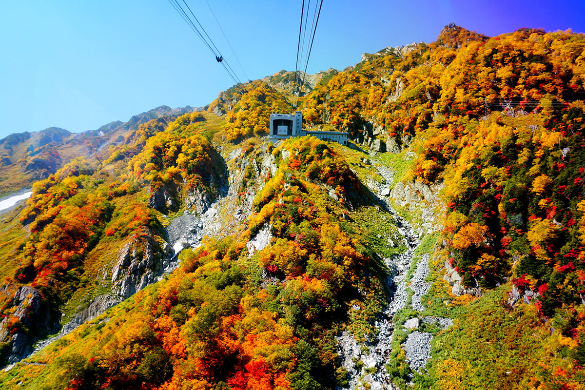 立山黒部アルペンルートの紅葉シーズンをお得に楽しめる「秋旅早割WEBきっぷ」が販売中