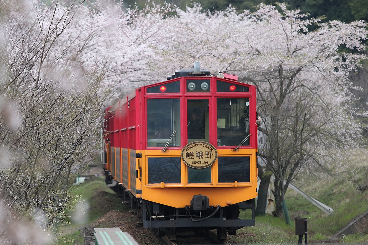 嵯峨野観光鉄道「嵯峨野トロッコ列車」