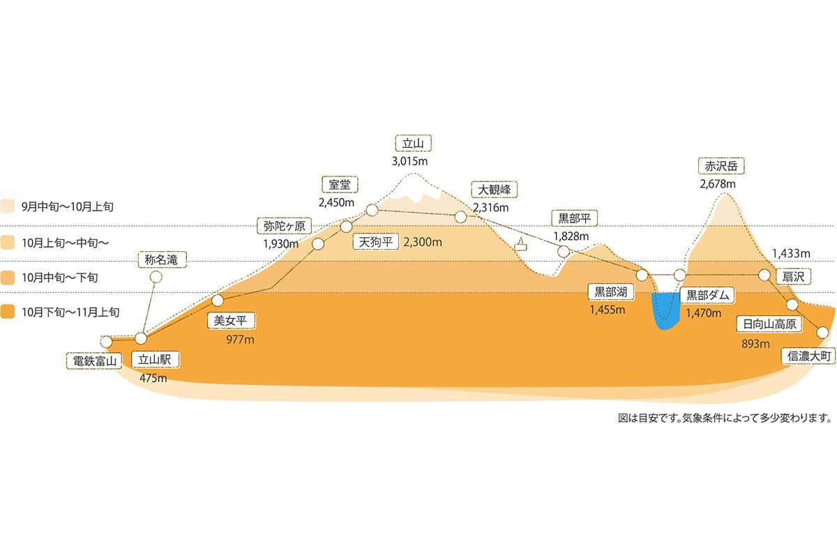 立山黒部アルペンルートの紅葉シーズンをお得に楽しめる「秋旅早割WEBきっぷ」が販売中