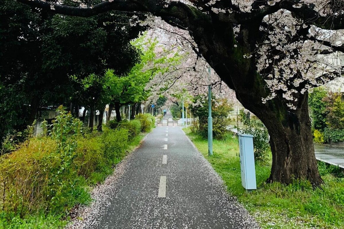 東京都「多摩湖自転車歩行者道」