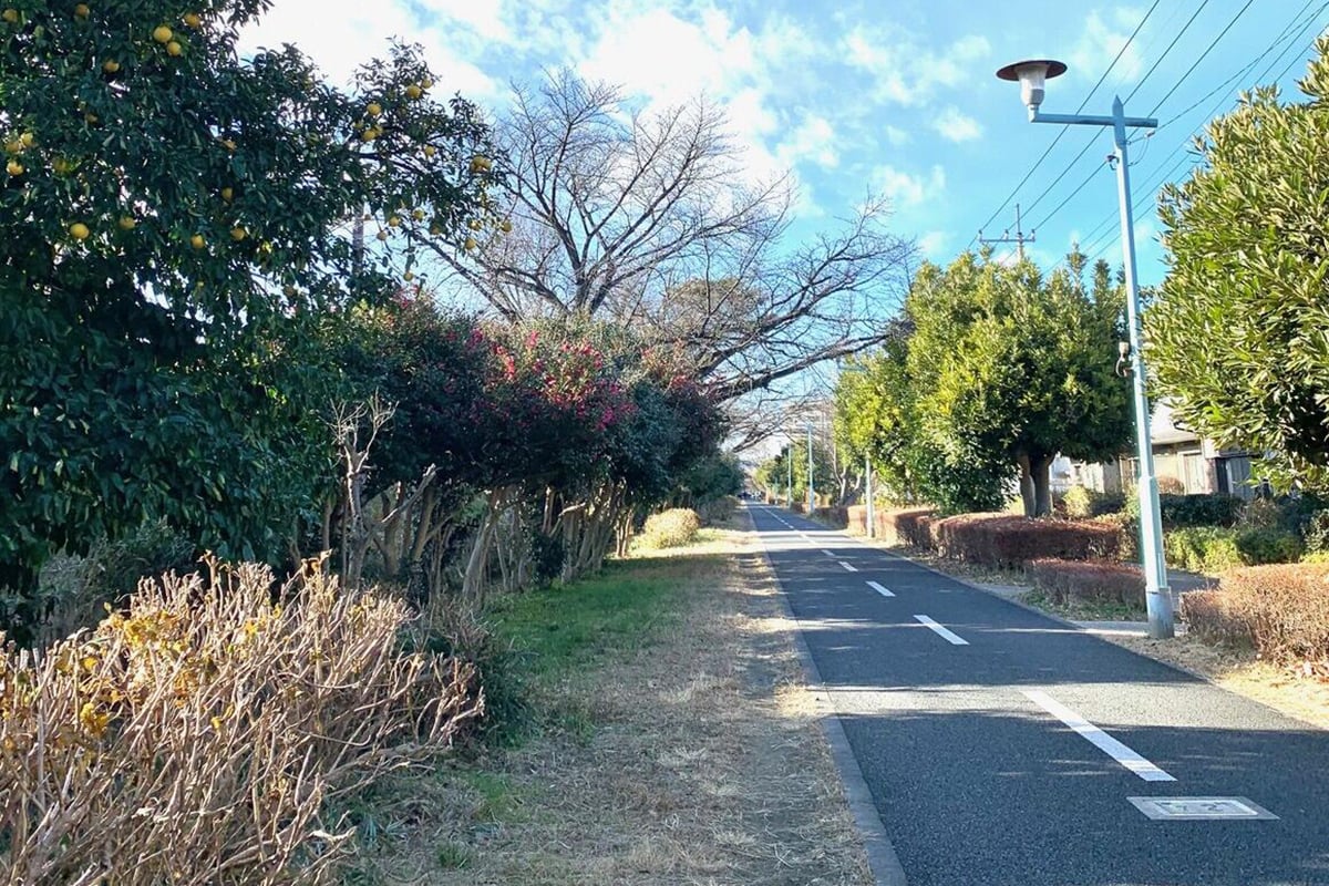東京都「多摩湖自転車歩行者道」