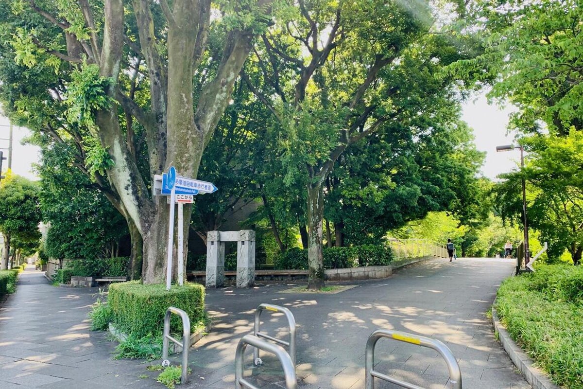 東京都「多摩湖自転車歩行者道」