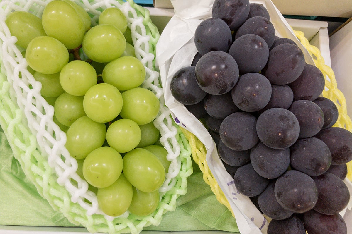 秋の自然と味覚を十分に堪能できるぶどう狩り