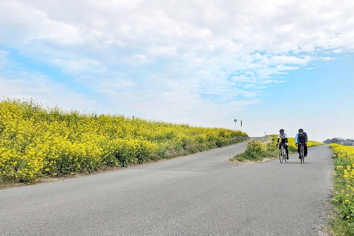 埼玉県「利根川自転車道」