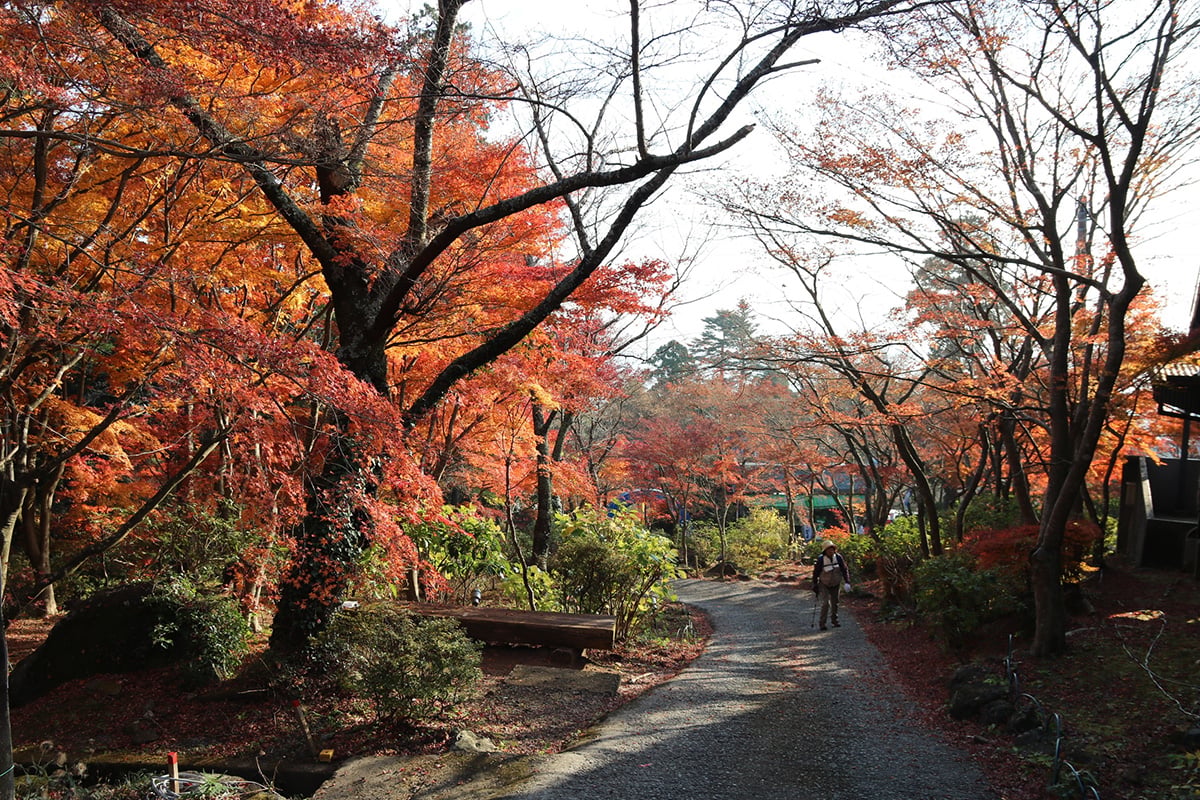 茨城県「筑波山」