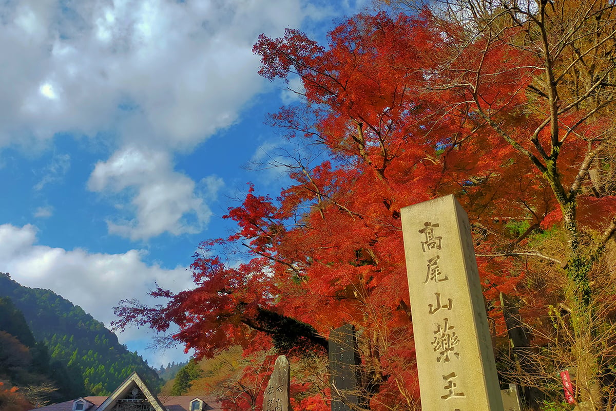 東京都「高尾山」