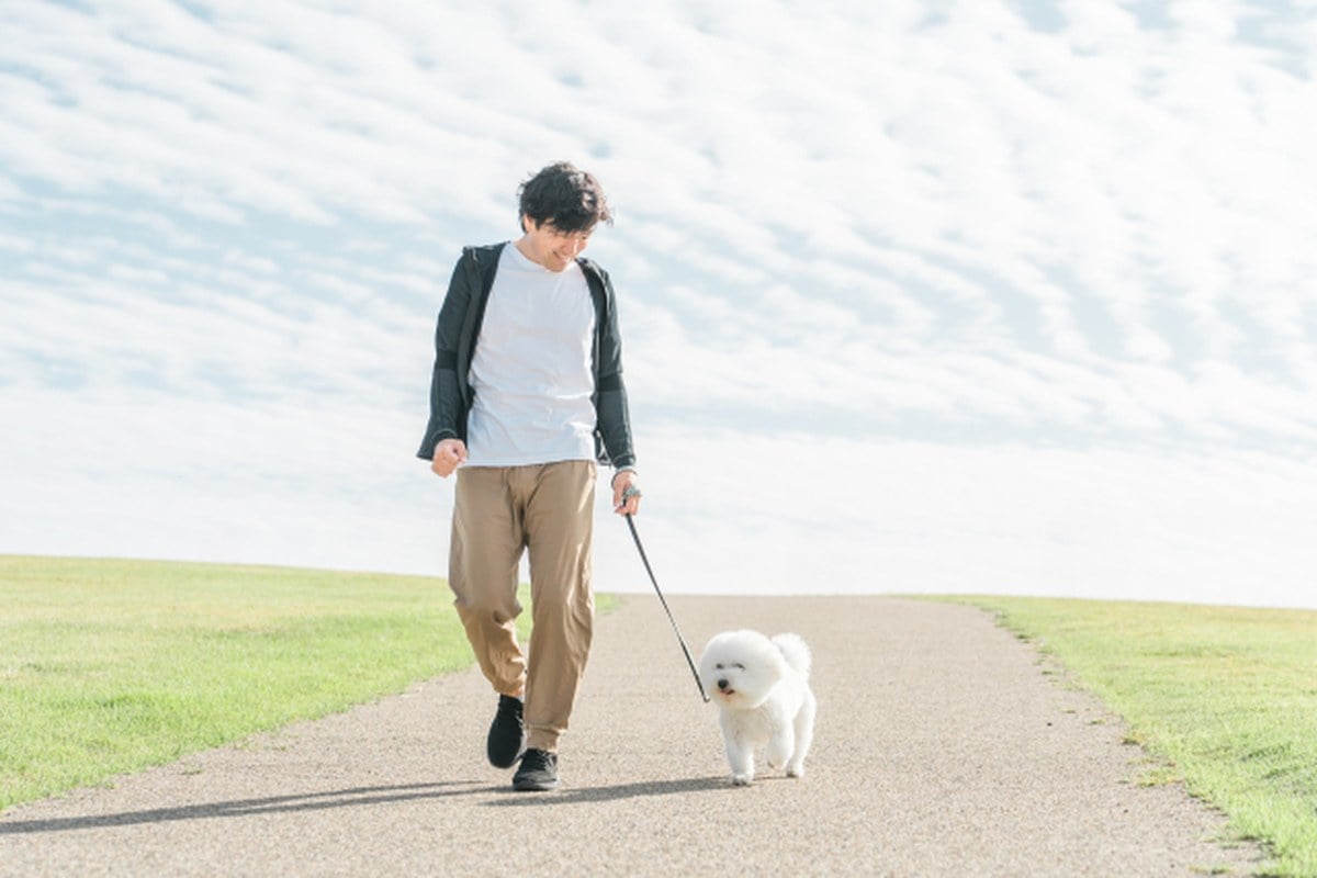 歩くか、走るか。仕事に向いているのはどちらなのか、研究からその“得意分野”を探る。
