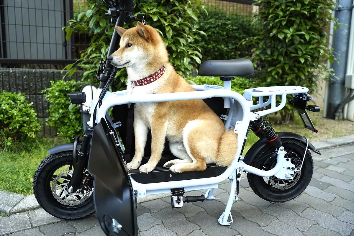 愛犬と一緒にお出かけ！ 特定小型原付の新モデル「ドギー・ライト」