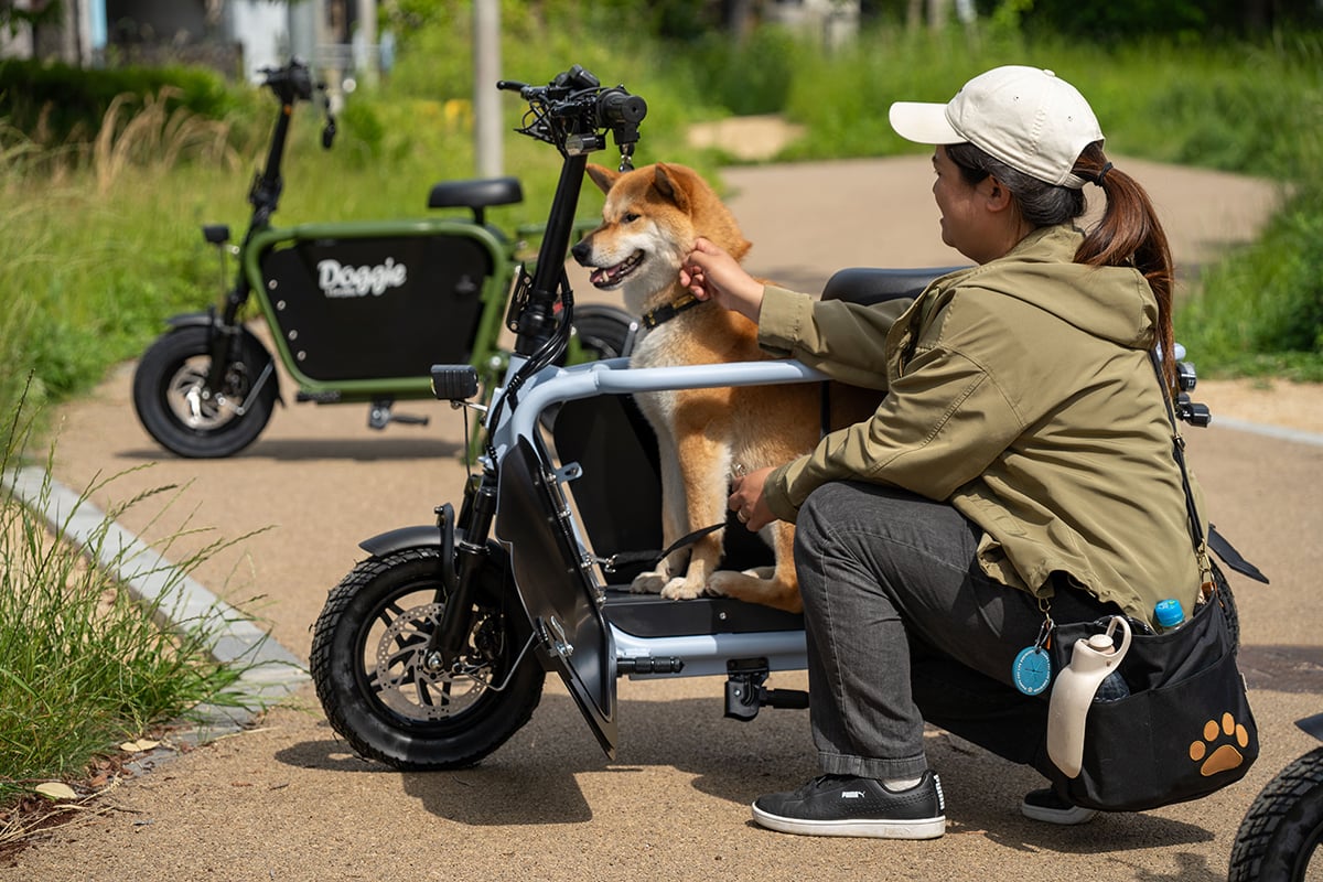 愛犬と一緒にお出かけ！ 特定小型原付の新モデル「ドギー・ライト」