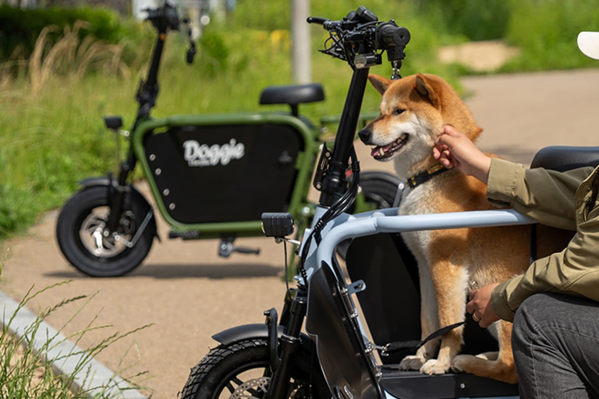 愛犬と一緒にお出かけ！ 特定小型原付の新モデル「ドギー・ライト」