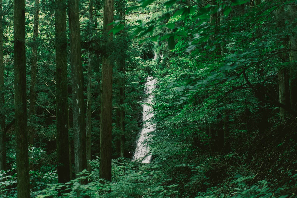 寂光の滝