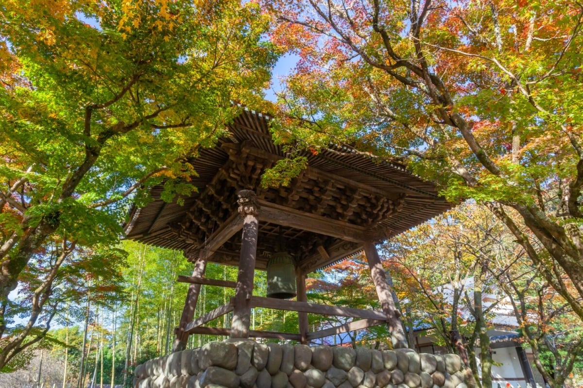 歴史と自然に触れる、修善寺観光