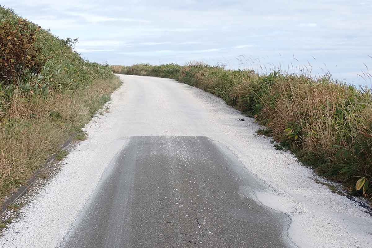 「白い道」の入口。帆立貝の貝殻を砕き敷き詰めて、この白さが生まれる
