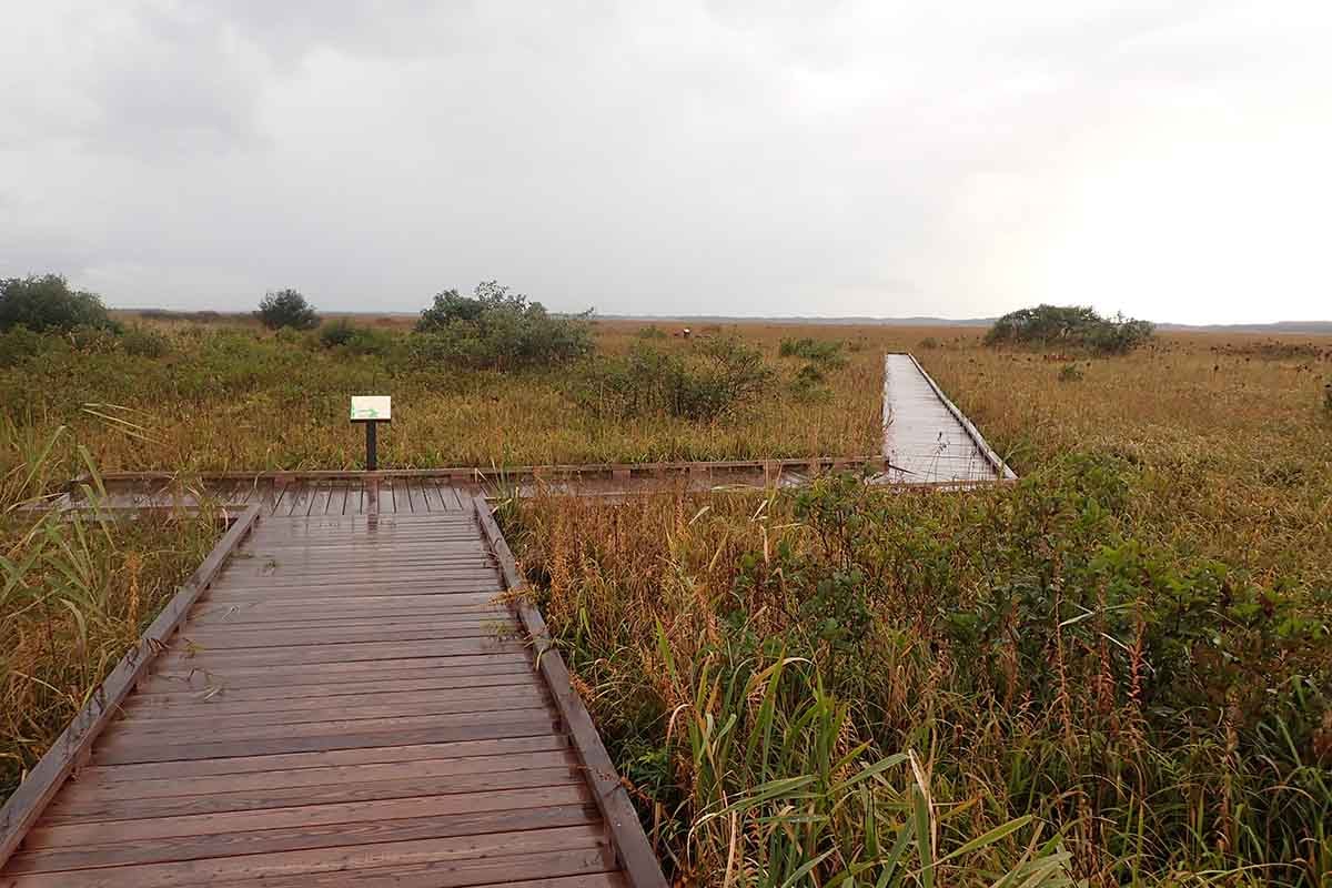 地平線まで湿原が広がるサロベツ原生花園。花が咲く季節、天気がいい日に再訪したい