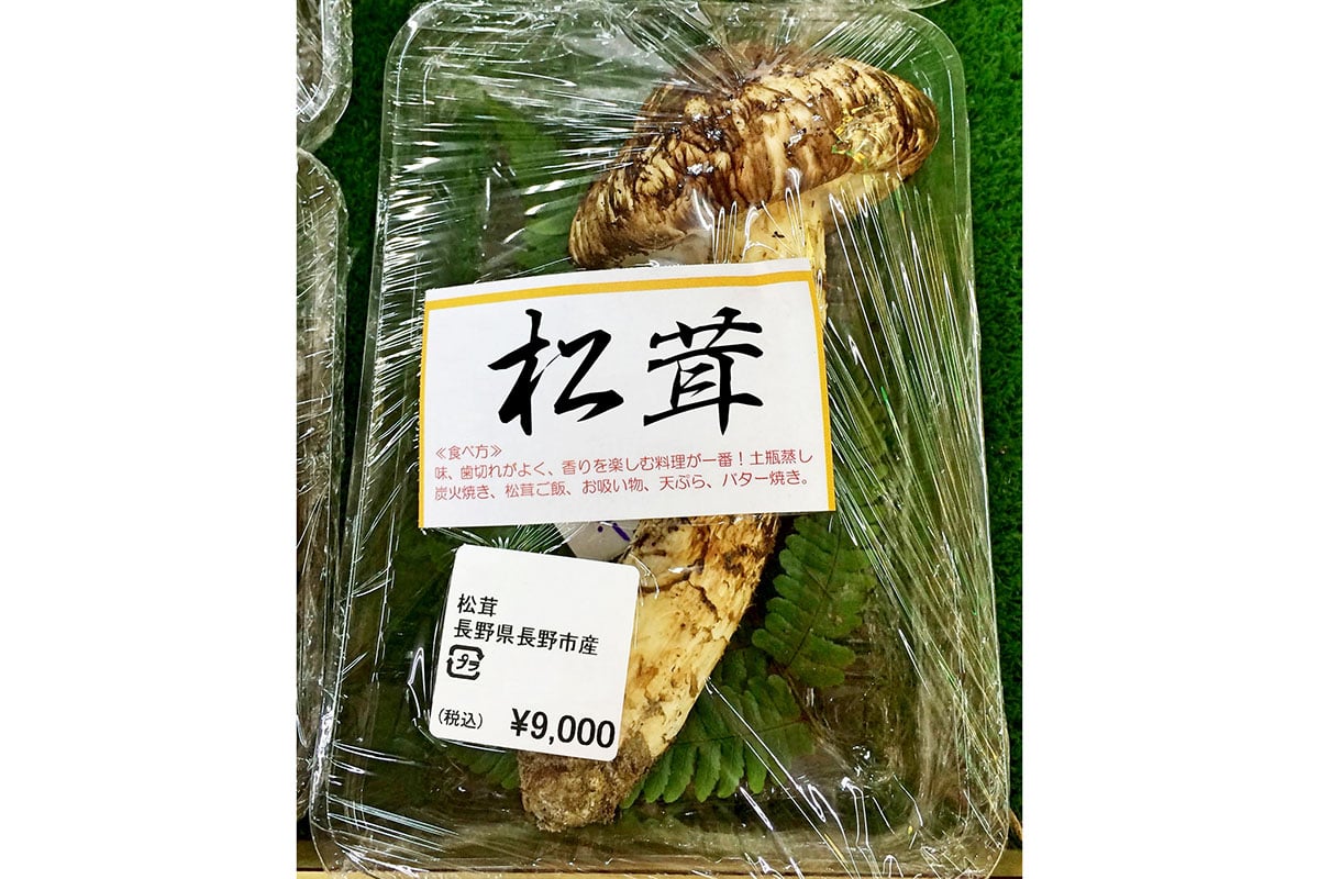長野県「まつたけ」