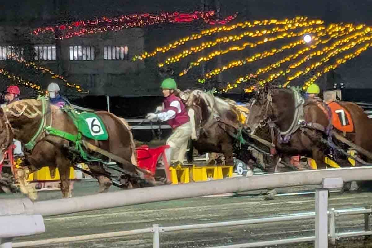 帯広競馬場で開催される「ばんえい競馬」