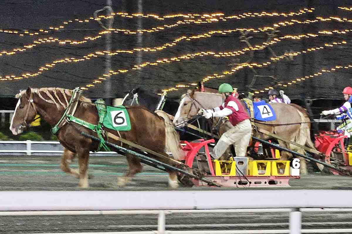 帯広競馬場で開催される「ばんえい競馬」